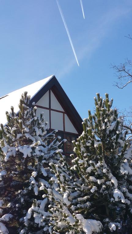 Landhaus Tonmuehle Ilsenburg Kültér fotó